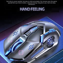 Starter Wired Desk Mouse - 2